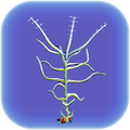 Thumbnail for version as of 00:06, 2 October 2017