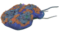 Thumbnail for version as of 16:27, 23 October 2016