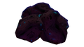 Thumbnail for version as of 09:53, 5 September 2016