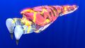 Thumbnail for version as of 09:13, 23 September 2016