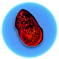 Thumbnail for version as of 20:31, 1 May 2017