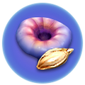 Thumbnail for version as of 13:25, 2 May 2017