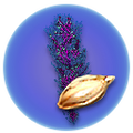 Thumbnail for version as of 13:42, 2 May 2017