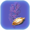 Thumbnail for version as of 02:08, 26 July 2017