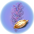 Thumbnail for version as of 22:36, 22 April 2019
