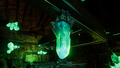 Thumbnail for version as of 14:49, 6 August 2021