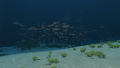 Thumbnail for version as of 00:29, 6 July 2017