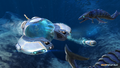 Thumbnail for version as of 21:13, 12 September 2015