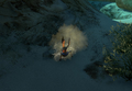 Thumbnail for version as of 01:58, 5 May 2024