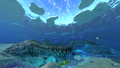 Thumbnail for version as of 02:41, 7 August 2021