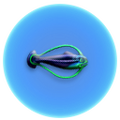 Thumbnail for version as of 17:08, 2 May 2017