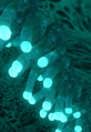 Thumbnail for version as of 19:13, 15 April 2015