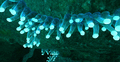 Thumbnail for version as of 13:59, 27 July 2015