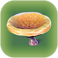 Thumbnail for version as of 00:06, 2 October 2017