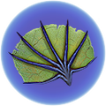 Thumbnail for version as of 00:06, 2 October 2017