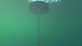 Thumbnail for version as of 23:31, 6 August 2021