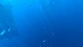 Thumbnail for version as of 18:49, 6 August 2021