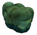 Thumbnail for version as of 15:37, 1 May 2017