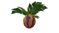 Thumbnail for version as of 07:40, 11 August 2016