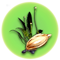 Thumbnail for version as of 13:16, 2 May 2017