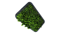 Thumbnail for version as of 19:18, 5 September 2016
