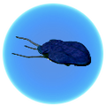 Thumbnail for version as of 22:31, 13 July 2017