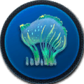 Thumbnail for version as of 17:13, 20 February 2016