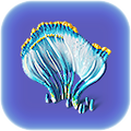 Thumbnail for version as of 00:06, 2 October 2017