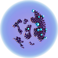 Thumbnail for version as of 22:36, 22 April 2019
