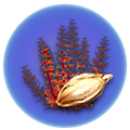 Thumbnail for version as of 13:50, 2 May 2017