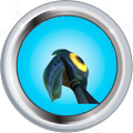 Thumbnail for version as of 02:36, 28 July 2015