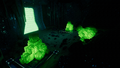 Thumbnail for version as of 15:49, 6 August 2021