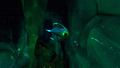 Thumbnail for version as of 21:09, 6 August 2021
