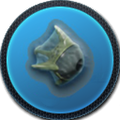 Thumbnail for version as of 01:47, 13 May 2015