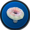 Thumbnail for version as of 21:57, 20 August 2016