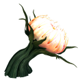 Thumbnail for version as of 21:48, 6 August 2021