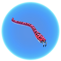 Thumbnail for version as of 16:00, 2 May 2017