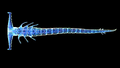 Thumbnail for version as of 23:42, 9 May 2017