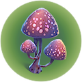 Thumbnail for version as of 02:41, 26 July 2017