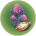 Thumbnail for version as of 02:42, 26 July 2017