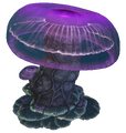 Thumbnail for version as of 23:18, 17 August 2017