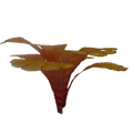 Thumbnail for version as of 03:22, 12 February 2016