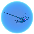 Thumbnail for version as of 09:53, 11 May 2017