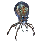 Crabsquid Fauna.png