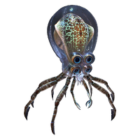 Crabsquid Fauna.png