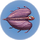 Cured Bladderfish.png
