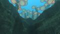 One of the many steep cliffs in this biome