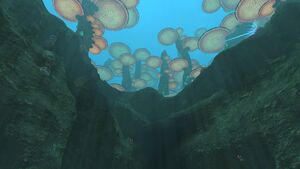 EasternForest7.jpg