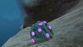 Jelly Plants in a small Jelly Shroom Caves