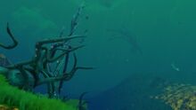 Lilypad trees.jpg